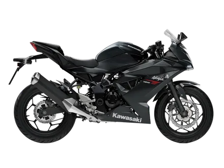 Ninja 125