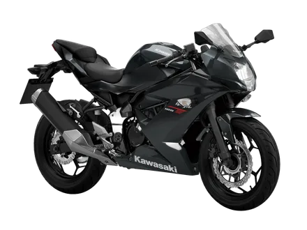 Ninja 125 — náhľad 2