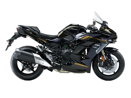 Ninja H2 SX